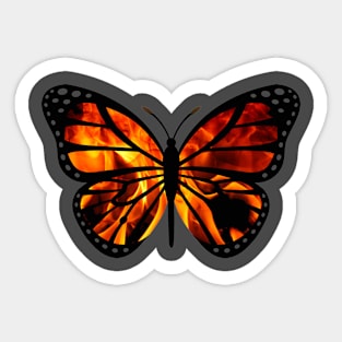 Fire Fly Sticker